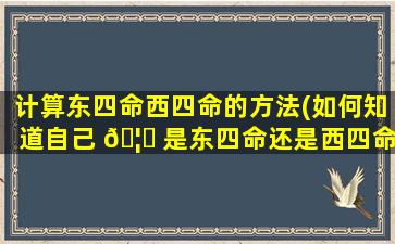 计算东四命西四命的方法(如何知道自己 🦋 是东四命还是西四命 🌳 )